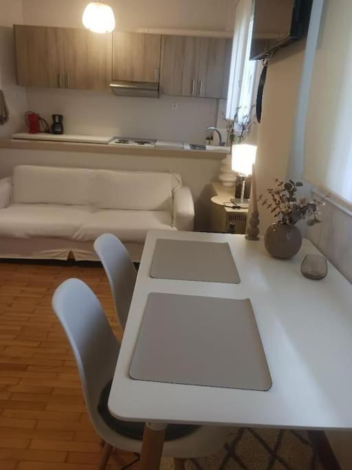 Beautiful Downtown Studio! Ioannina Buitenkant foto